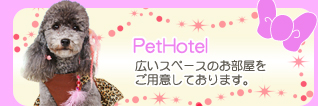 「ペットホテル」広いスペースのお部屋をご用意しております。